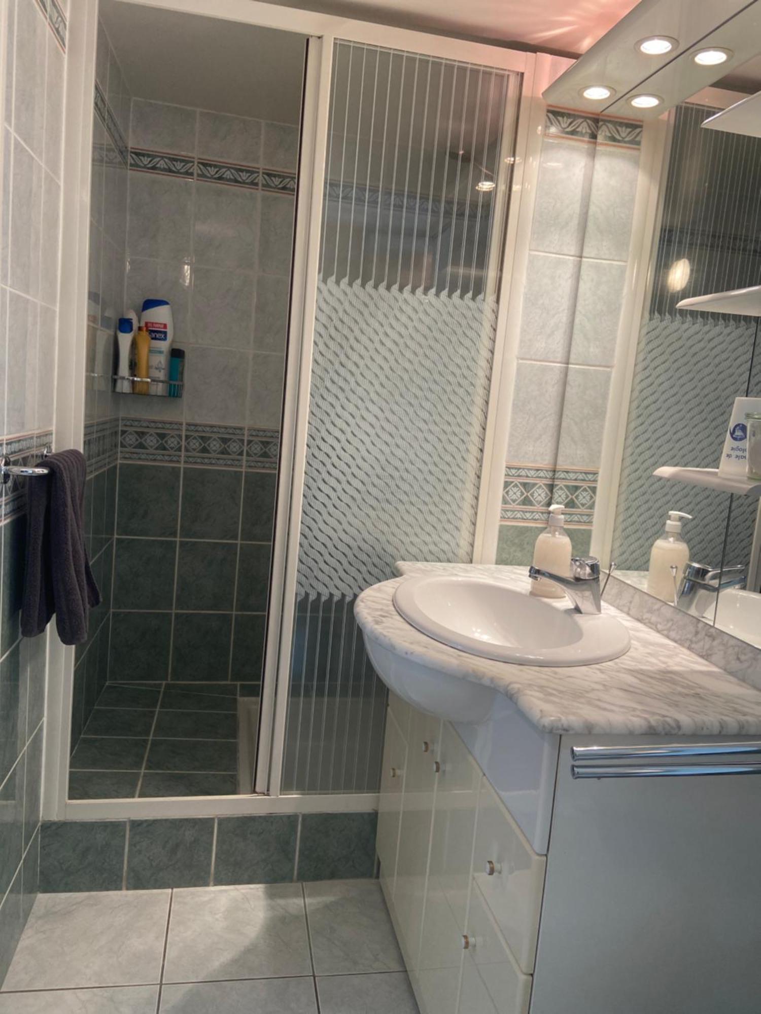 Sweet Home - 55M2 Appartment, Garden, Swimming Pool, Parking Tuluza Zewnętrze zdjęcie